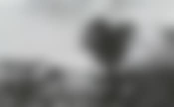 Paysage de riviere anime (preview)