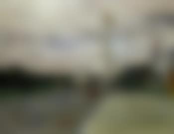Monas (preview)