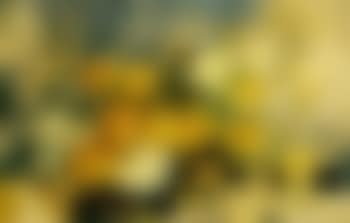 Les poppies (preview)