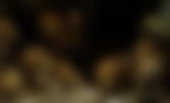 Lions in grotto (preview)