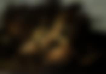 Still life with fish and crayfish (preview)