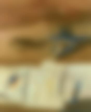 Untitled (preview)