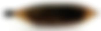 Woomera (preview)