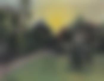 Garden view with house (preview)