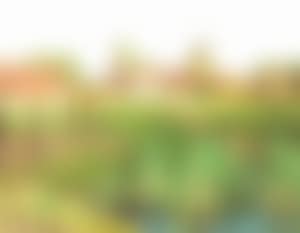 Dutch village (preview)