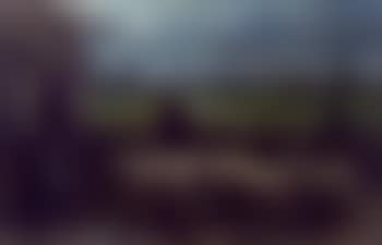 Guiding the flock home (preview)