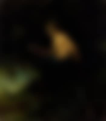 Terpsychore, muse of music and dance (preview)