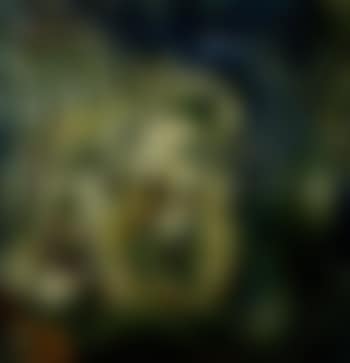 Awaken (preview)