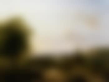 Shepherdess with a flock and travellers in a summer landscape (preview)