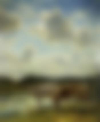 Cows by the Zaan, holland (preview)