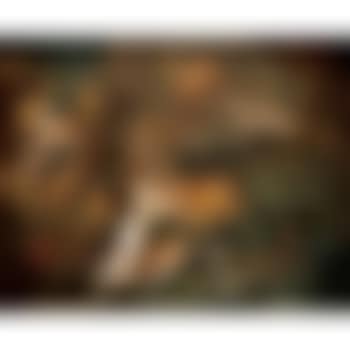 Diana and Actaeon (preview)