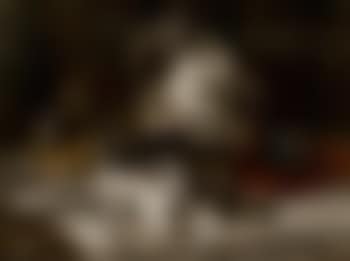 Study, kittens on a table (preview)