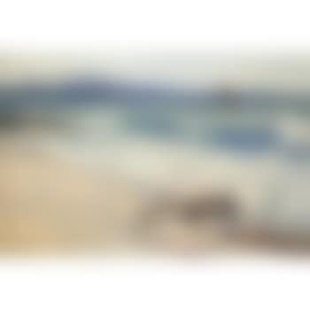 Blustery seas (preview)