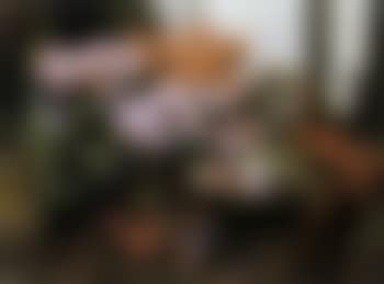 Still life (preview)