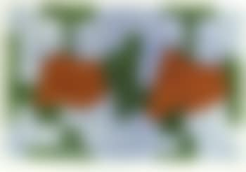 Composition, bleu, vert et rouge (preview)