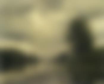 Polder landscape with a fisherman on the water and a mill in the background (preview)
