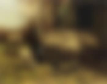 Shepherdess driving her sheep into the pen (preview)