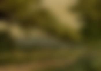 Spring landscape (preview)