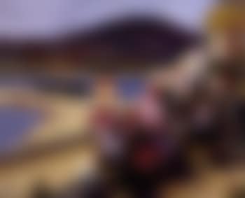Port du midi avec fleurs et bateaux (preview)