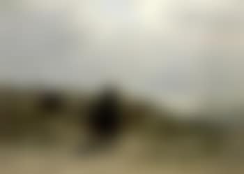 Return of the fishing fleet, Katwijk (preview)