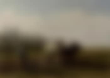 Ploughing farmer (preview)