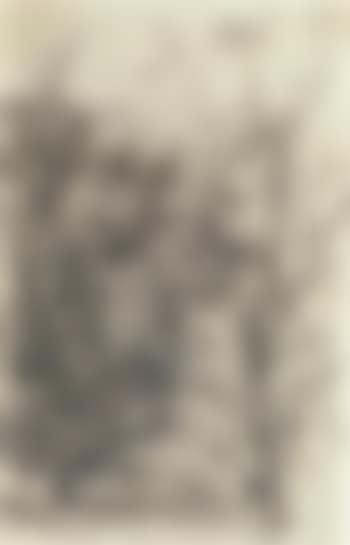 Wooded landscape near St. Germain (preview)