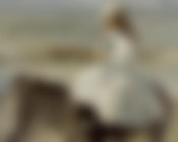 Donkey ride (preview)