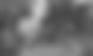Near Redbrook, Kent (preview)
