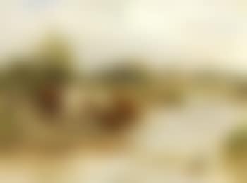 Inquisitive visitors (preview)