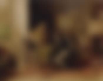 Une partie interessante (preview)