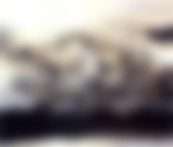 10.5.70 (preview)