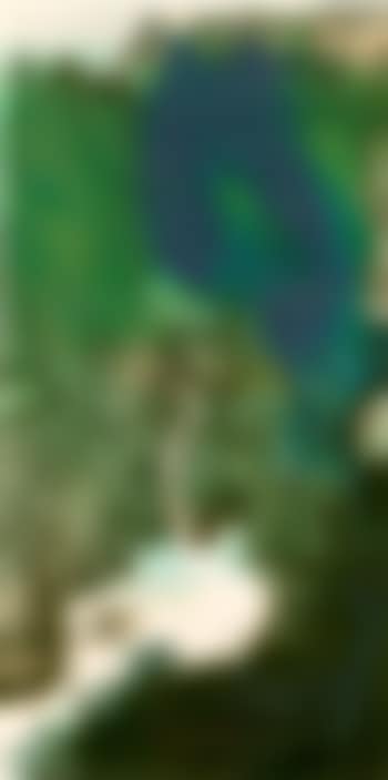 Viewing the waterfall (preview)
