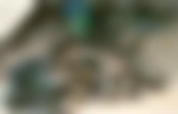 Landscape in splash colour (preview)