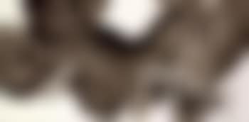 No 15 (preview)