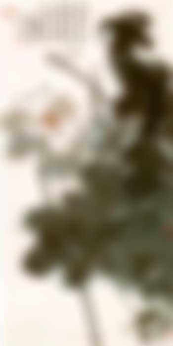 White lotus (preview)