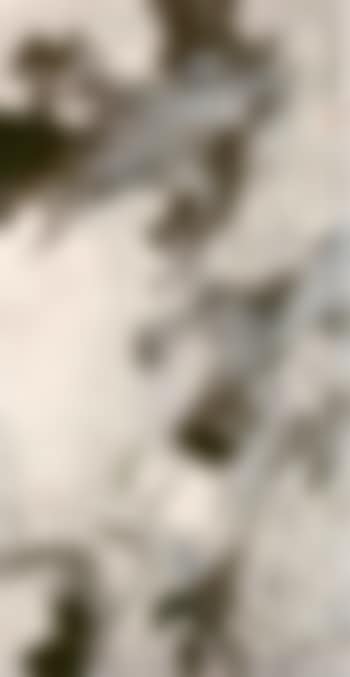 Egret (preview)