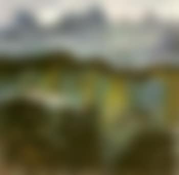 Houses in the forest (preview)