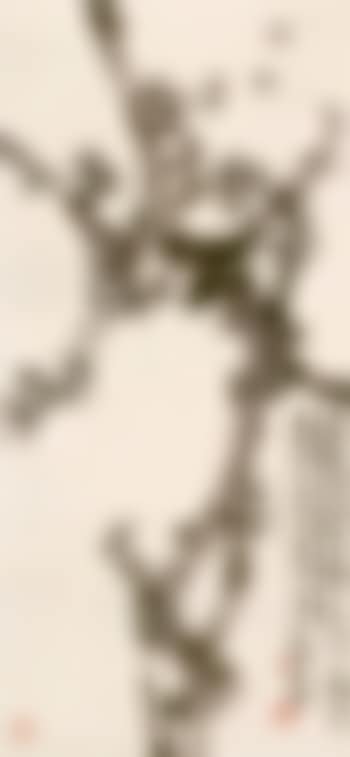 Prunus (preview)