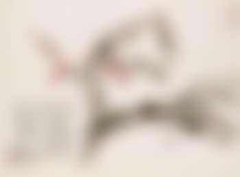 Prunus (preview)