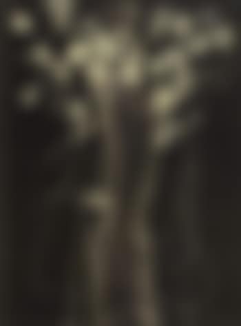 Untitled, rayograph with shapes of a vase and flowrs (preview)