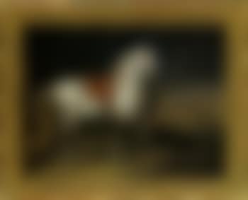 Portrait of saddled and bridled white horse in park (preview)
