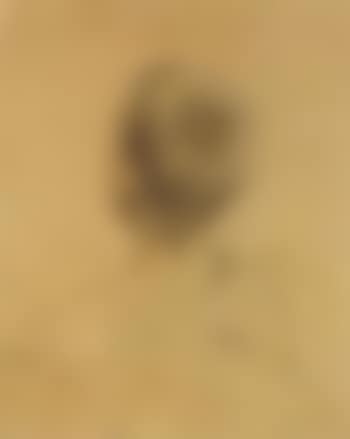 Study of boy (preview)