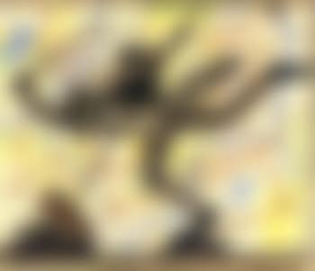 Study of a curtain (preview)
