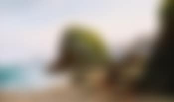 Near Horrabridge (preview)
