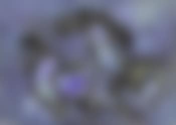 Cobalt horse (preview)