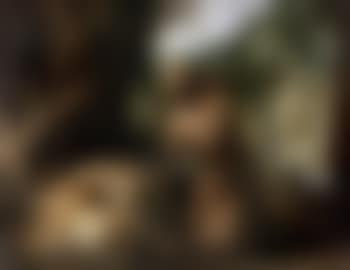 Saint Francis in the wilderness (preview)