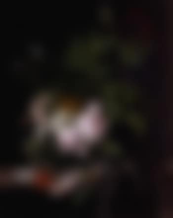 Still life of flowers (preview)