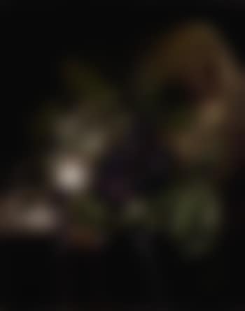 Still life of fruit (preview)