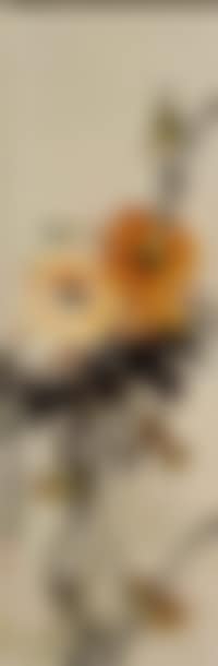 Flowers and birds (preview)