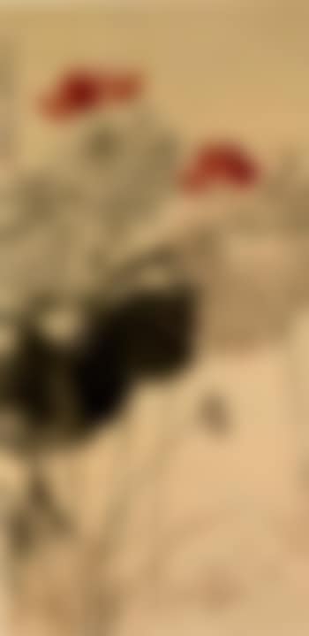 Red lotus (preview)